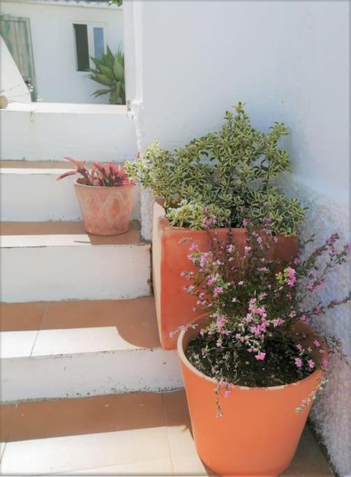 Barcarena Cozy Apartment With Private Courtyard מראה חיצוני תמונה