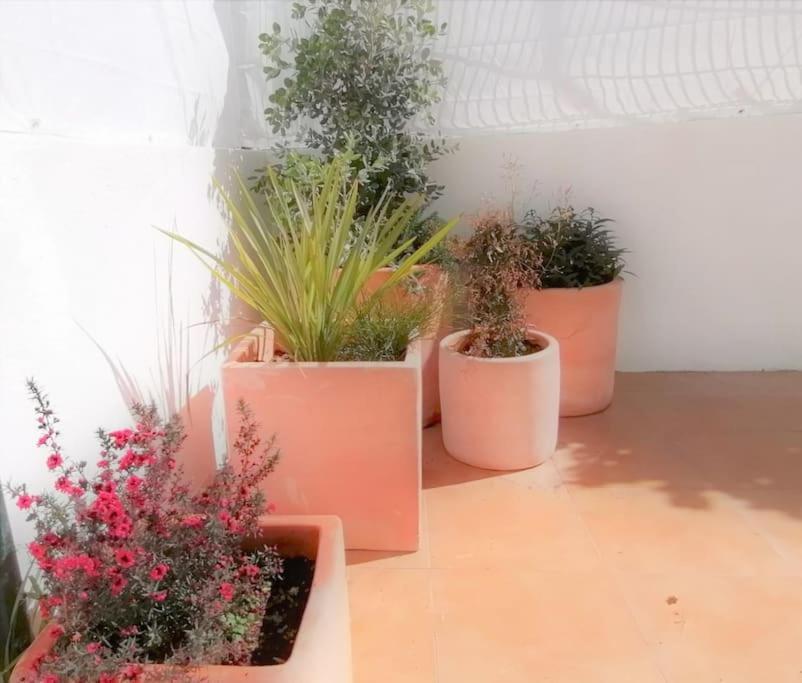 Barcarena Cozy Apartment With Private Courtyard מראה חיצוני תמונה