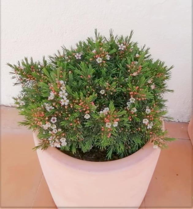 Barcarena Cozy Apartment With Private Courtyard מראה חיצוני תמונה